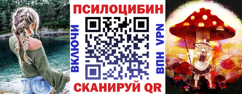 Псилоцибиновые грибы Magic Shrooms  Купить где  Миньяр 